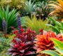 Winterharde en tropische planten voorbereiden op de kou